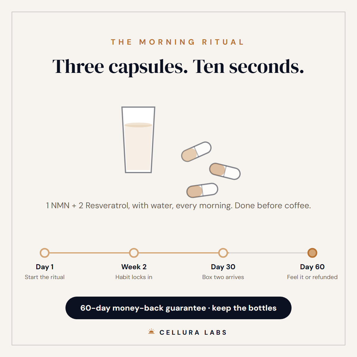The Ultimate Stack infographic