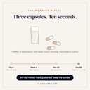 The Ultimate Stack infographic