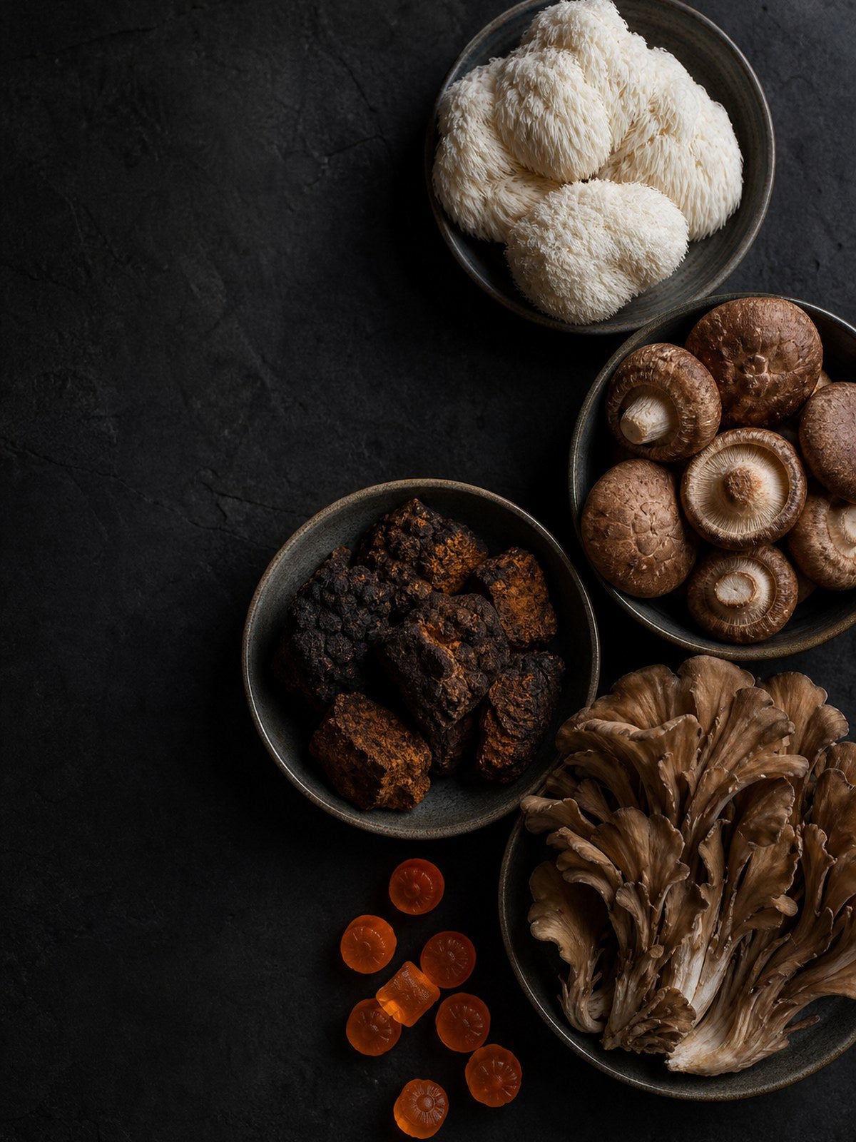 Lion's mane, shiitake, chaga, and maitake
